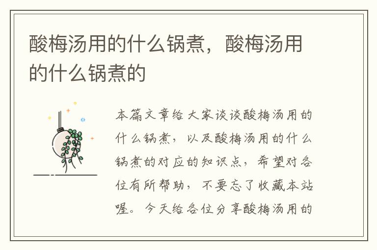 酸梅汤用的什么锅煮,酸梅汤用的什么锅煮的