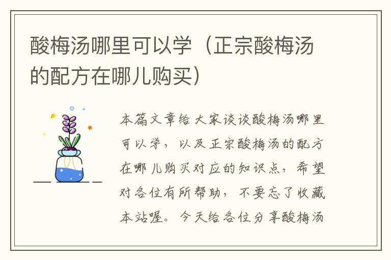 酸梅汤哪里可以学(正宗酸梅汤的配方在哪儿购买)
