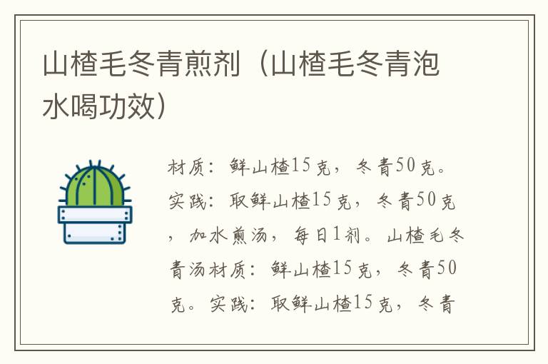 山楂毛冬青煎剂(山楂毛冬青泡水喝功效)