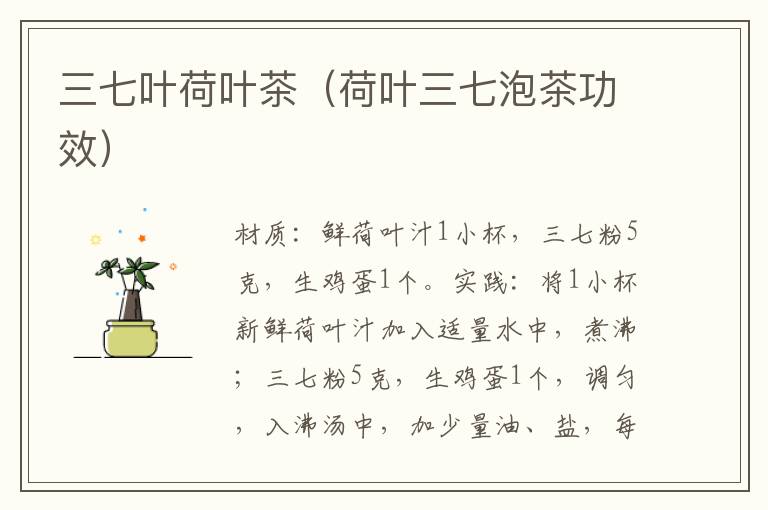 三七叶荷叶茶(荷叶三七泡茶功效)