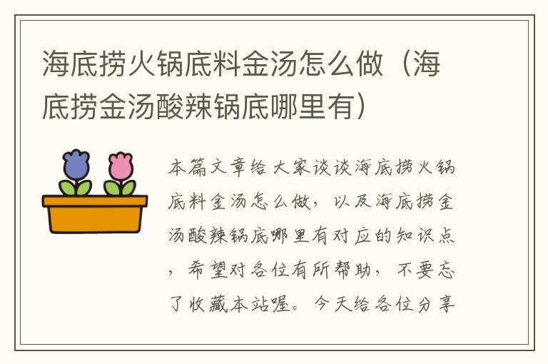 海底捞火锅底料金汤怎么做(海底捞金汤酸辣锅底哪里有)