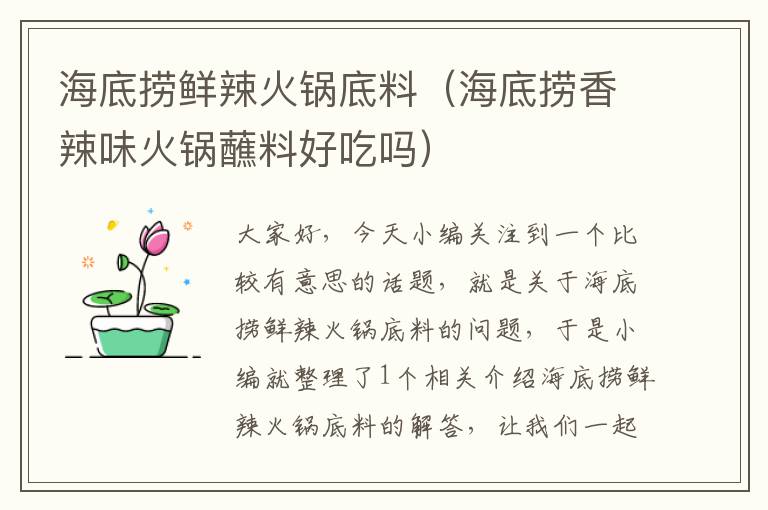 海底捞鲜辣火锅底料(海底捞香辣味火锅蘸料好吃吗)
