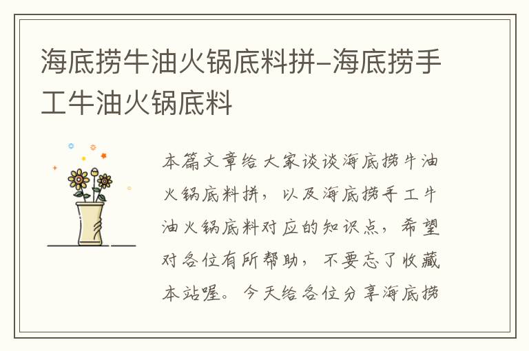 海底捞牛油火锅底料拼-海底捞手工牛油火锅底料