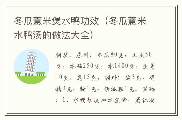 冬瓜薏米煲水鸭功效(冬瓜薏米水鸭汤的做法大全)