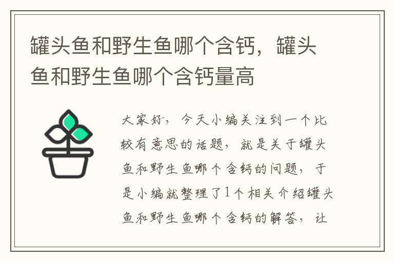 罐头鱼和野生鱼哪个含钙,罐头鱼和野生鱼哪个含钙量高