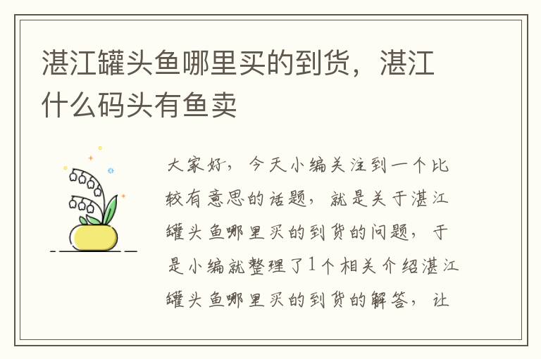 湛江罐头鱼哪里买的到货,湛江什么码头有鱼卖