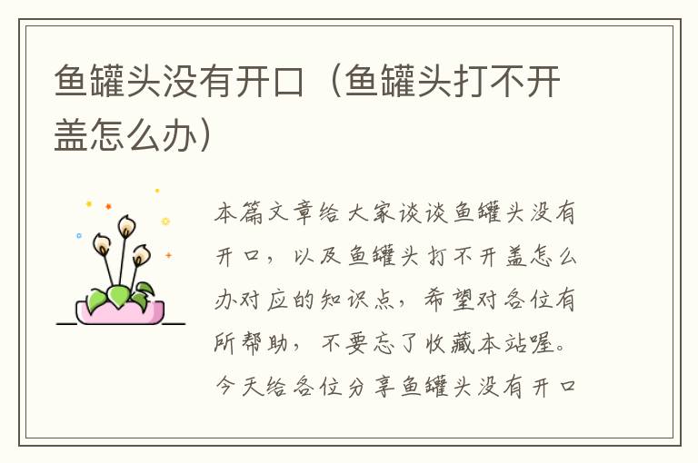 鱼罐头没有开口(鱼罐头打不开盖怎么办)