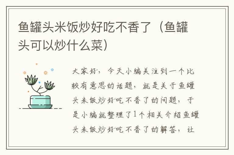 鱼罐头米饭炒好吃不香了(鱼罐头可以炒什么菜)