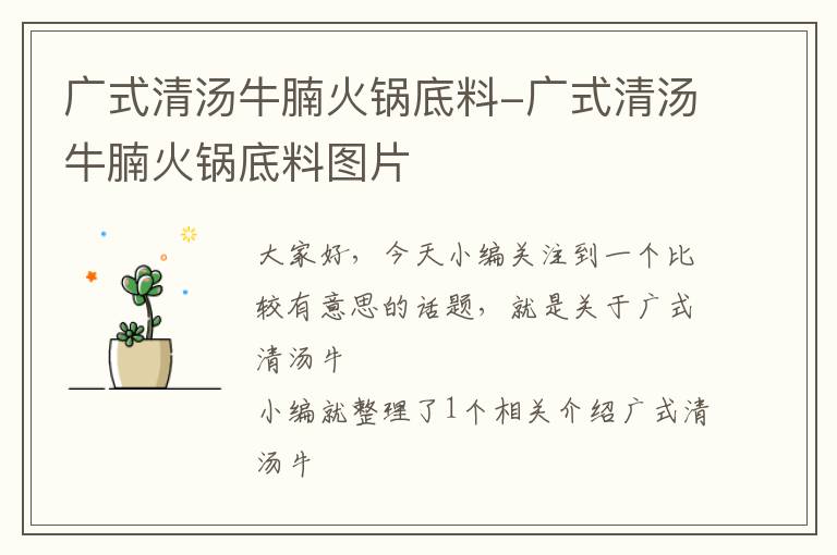 广式清汤牛腩火锅底料-广式清汤牛腩火锅底料图片