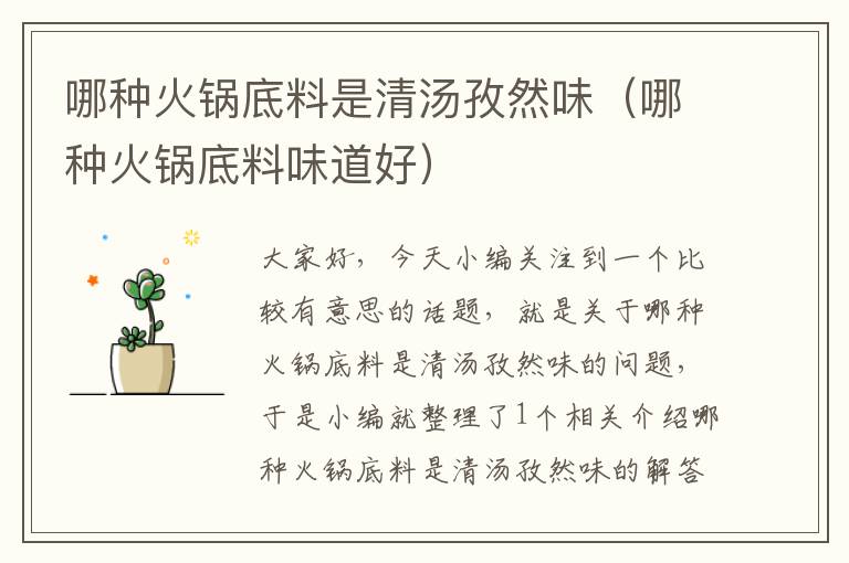 哪种火锅底料是清汤孜然味(哪种火锅底料味道好)